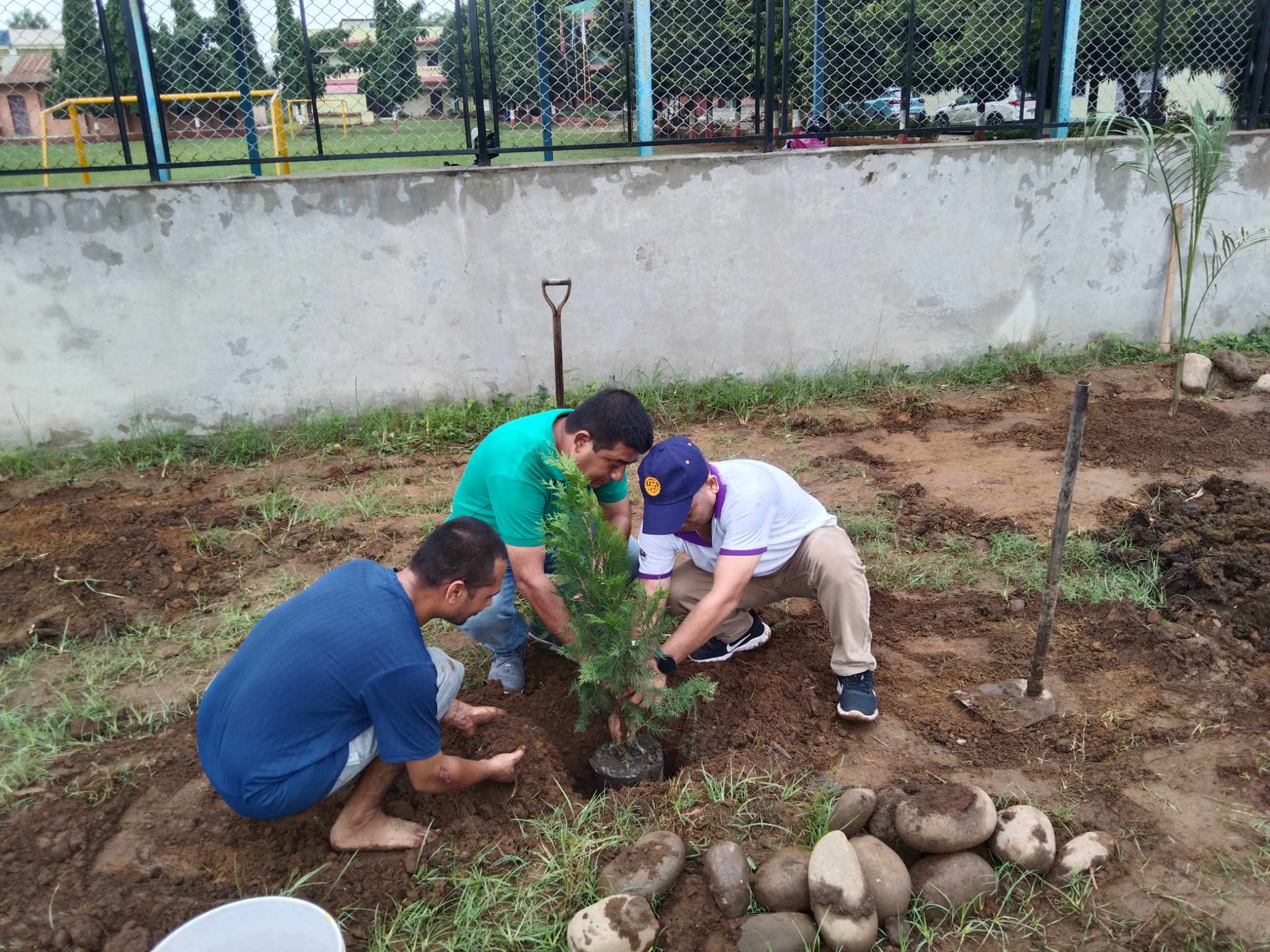 Tree plantation program